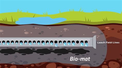 saturated septic leach repair